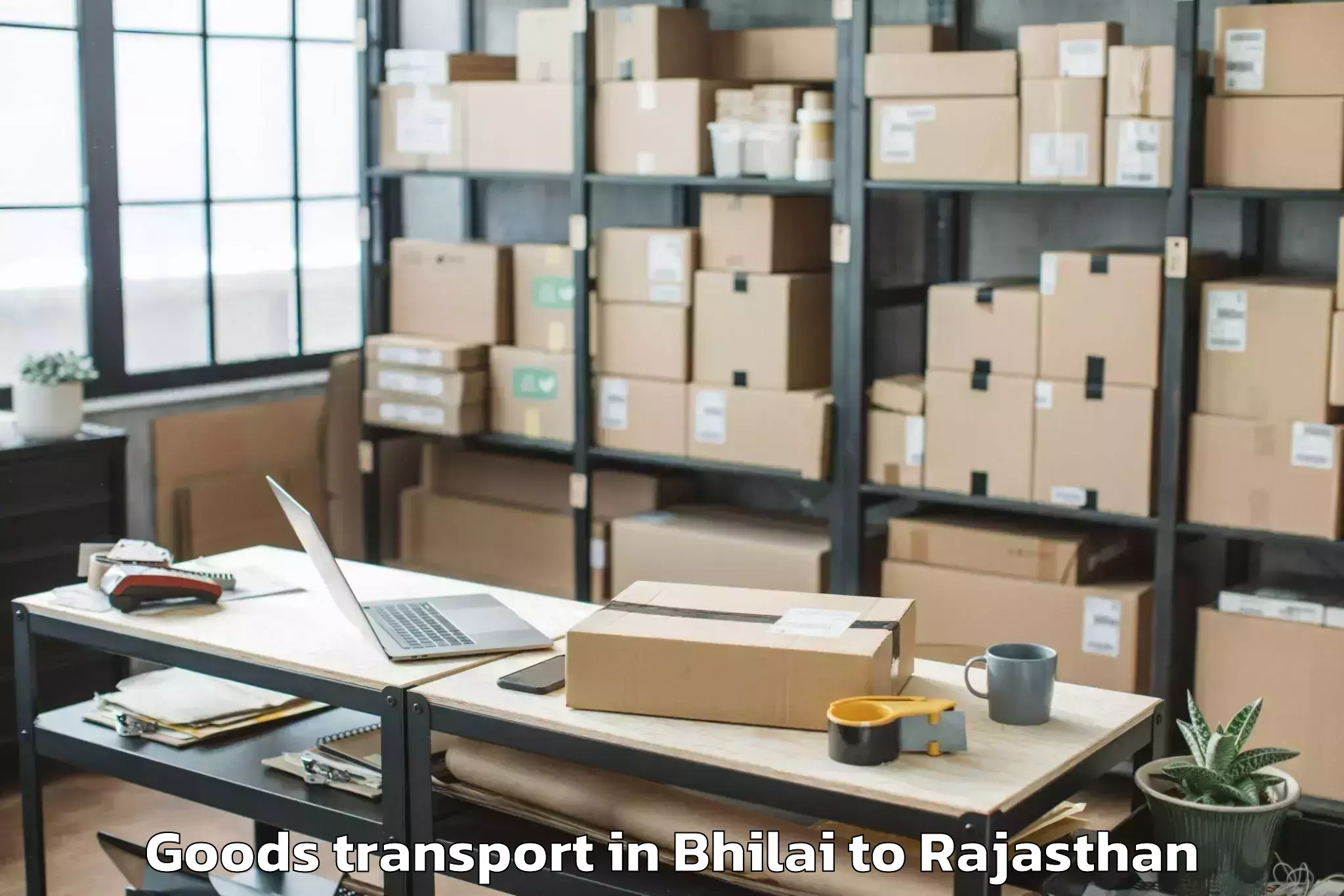 Leading Bhilai to Jhalawar Goods Transport Provider